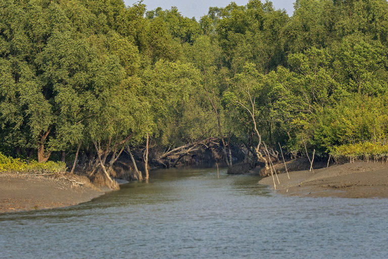 Sundarban Darshan