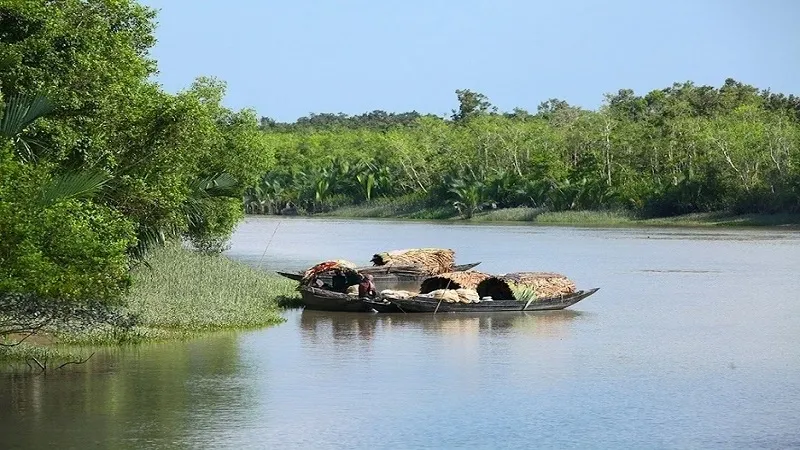 Sundarban Darshan Package
